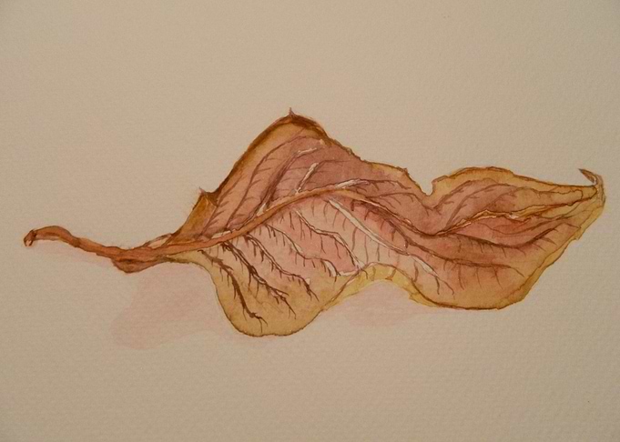 Leaf in watercolor