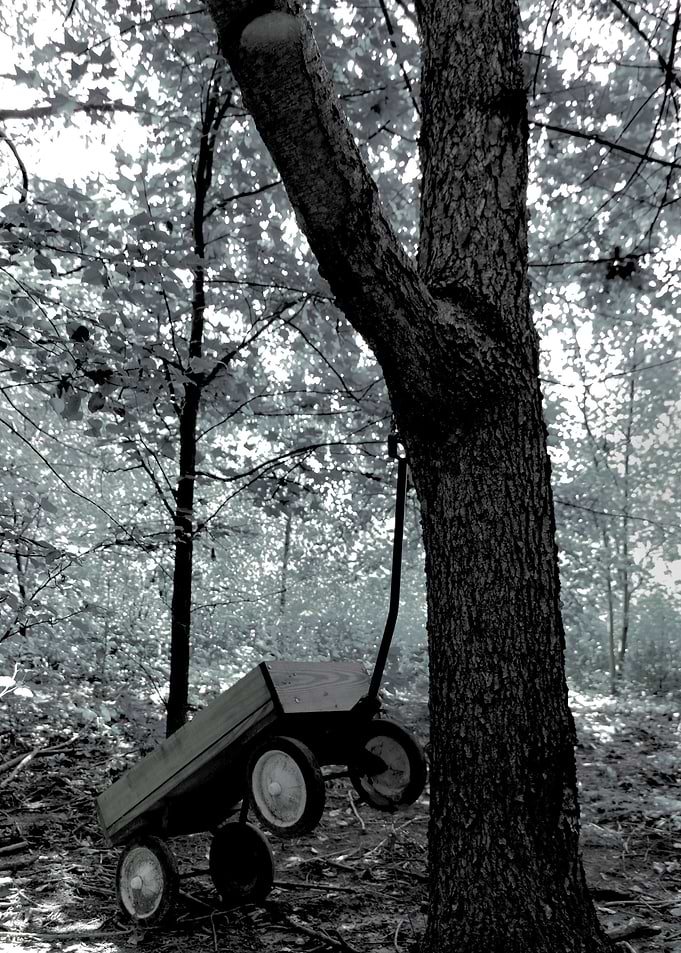 Childhood Recollections