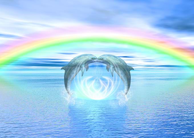 Dolphins Rainbow Healing