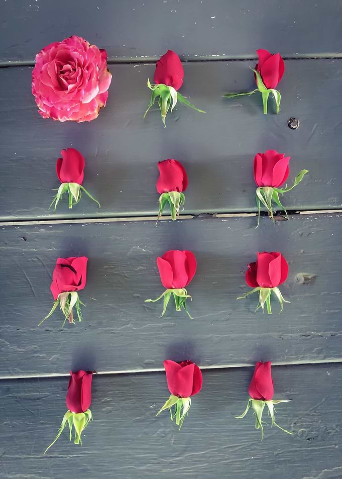 red roses pattern