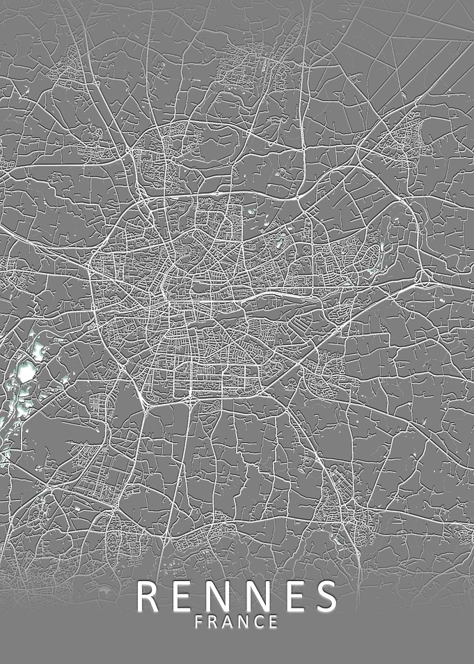 Rennes Grey City Map
