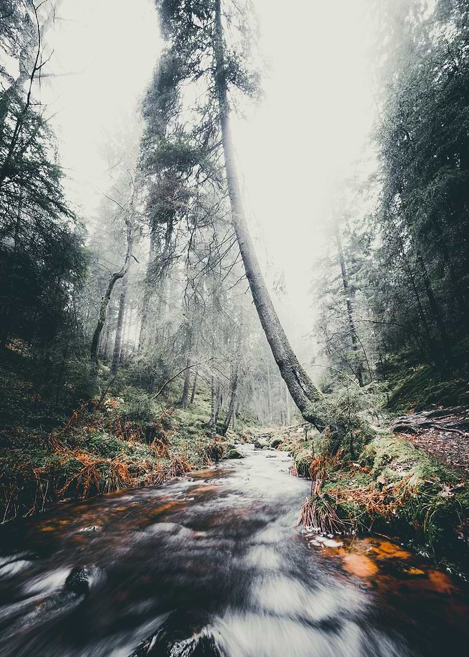 Foggy Feelings Vol2