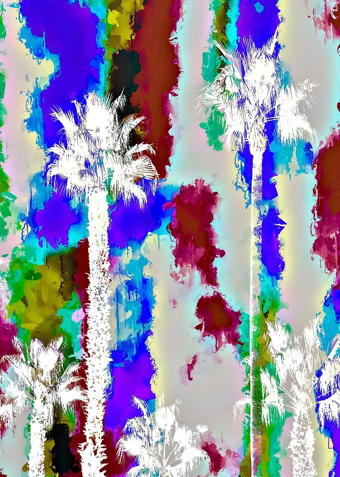 palm tree pattern