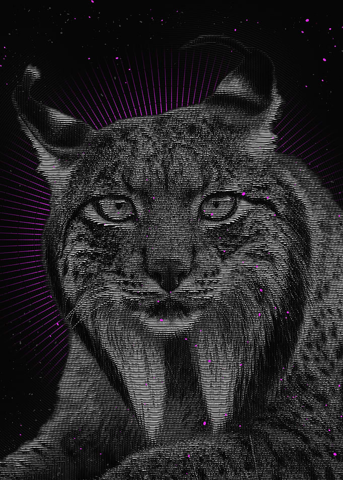 Lynx Pardinus
