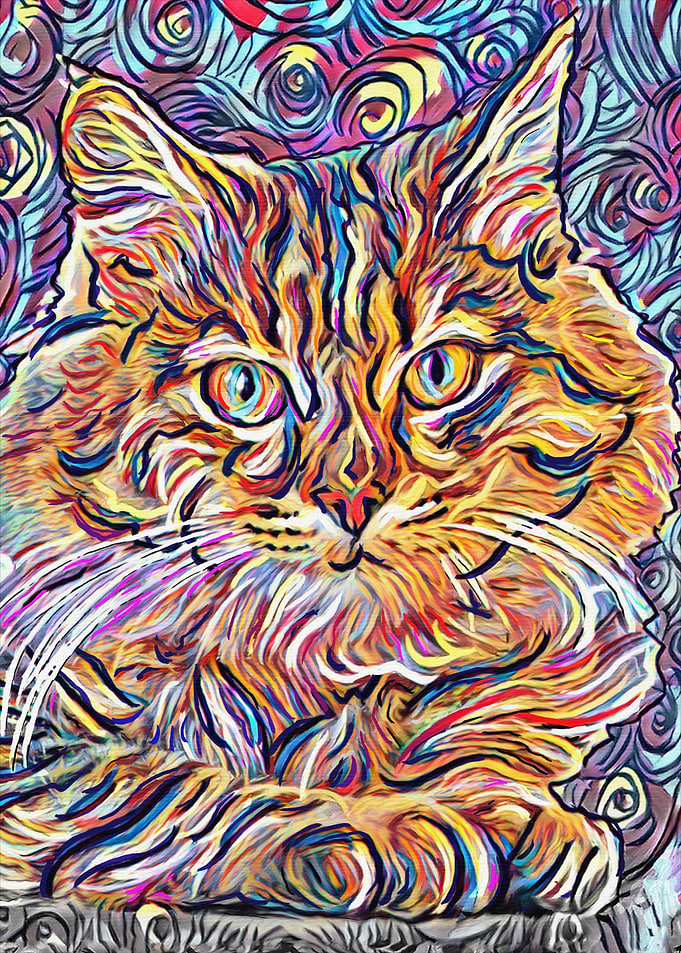 Cat Pet Art
