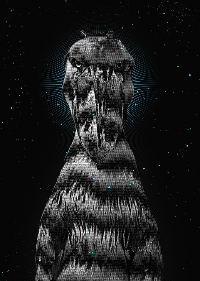 Balaeniceps Rex
