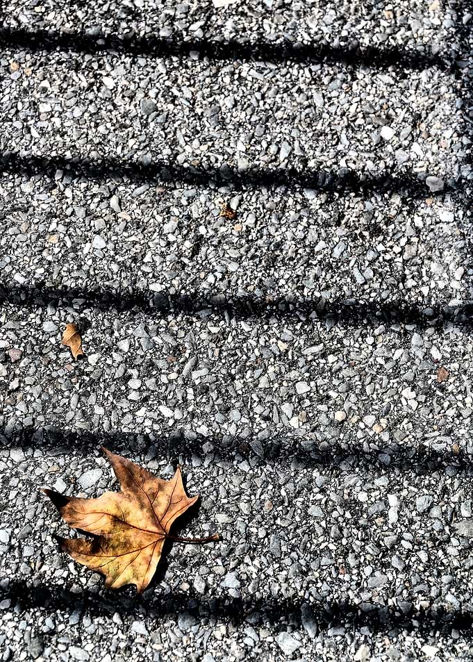 Between the Lines
