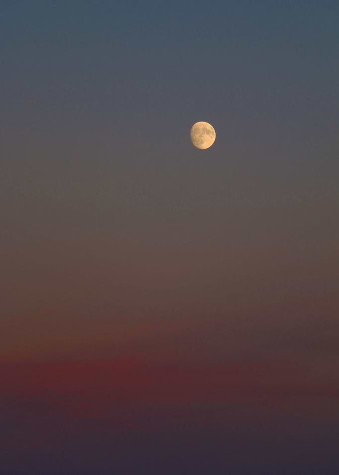 Sunset Moon