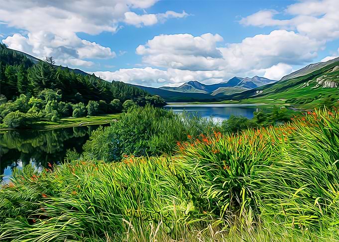 Snowdon View
