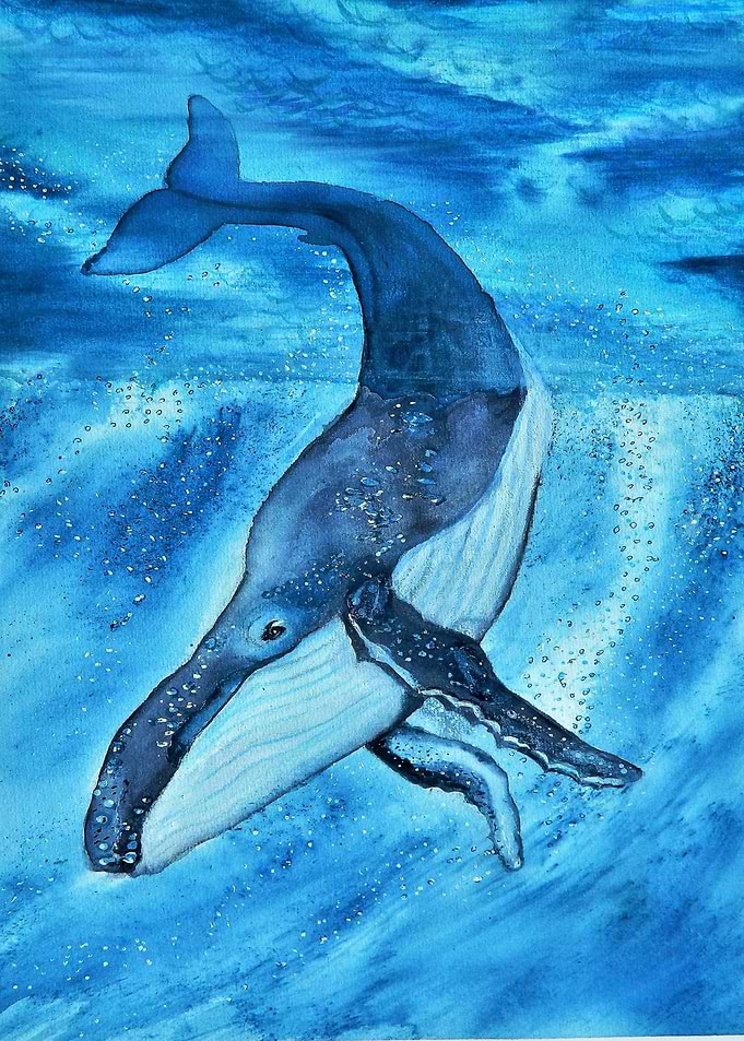Blue whale in watercolor