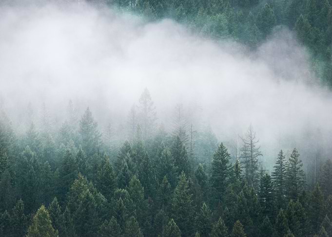 Rolling fog