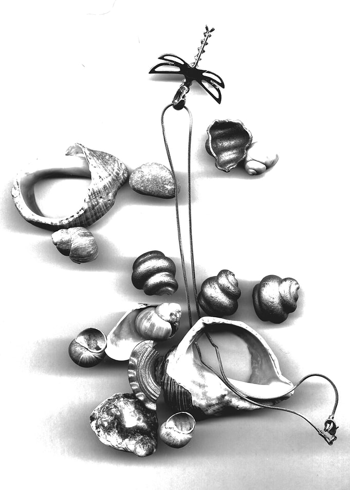 Shells