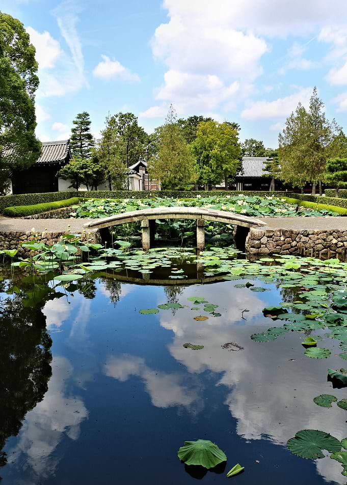 Mirror World