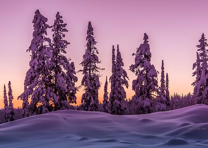 Pink sunset