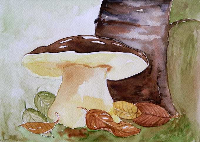 Wild mushroom