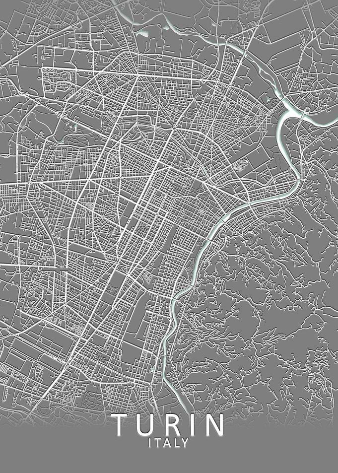 Turin Grey City Map