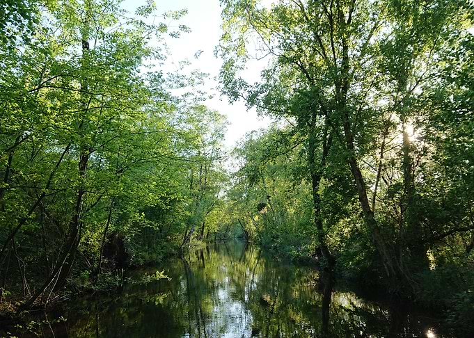 Magical stream