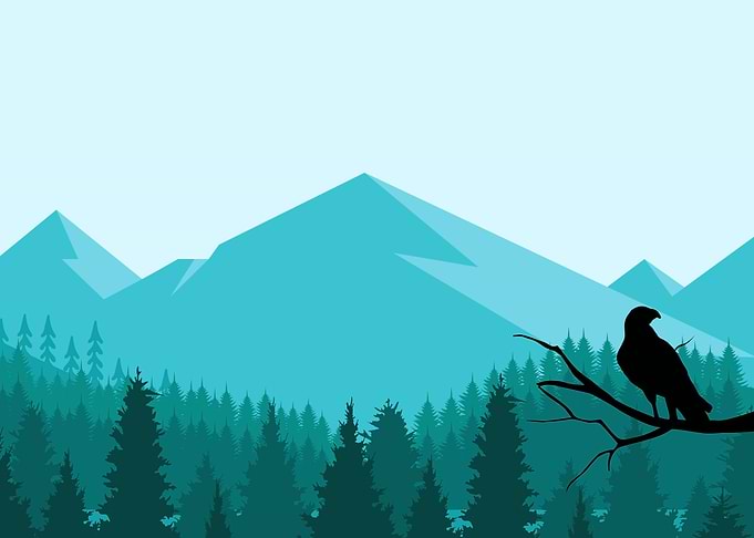 mountains with eagle