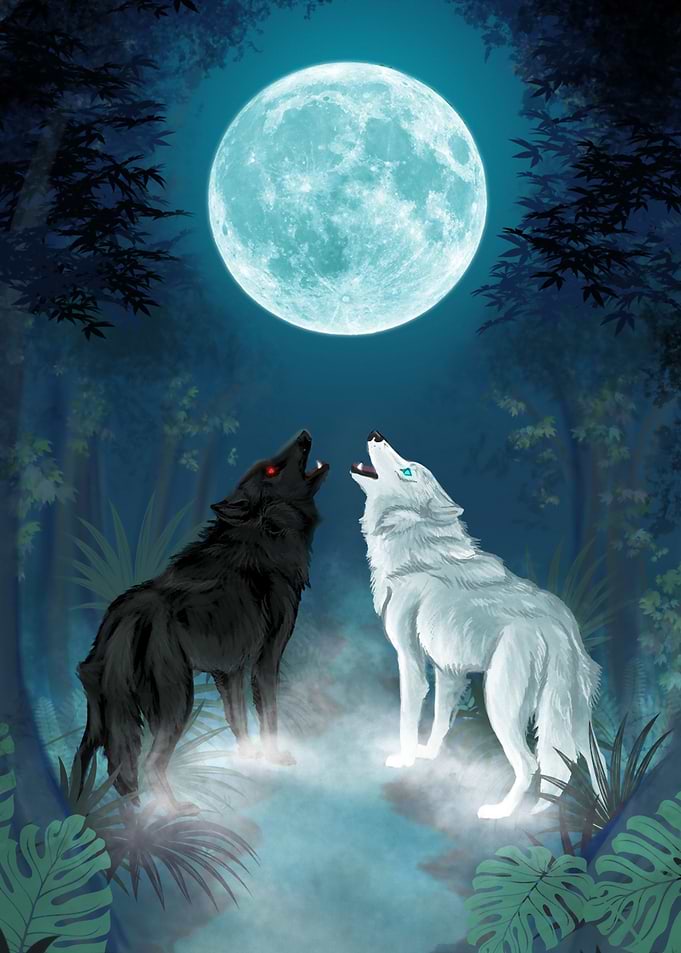 The Moon