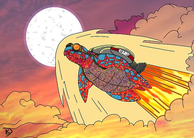 Turtle Moon