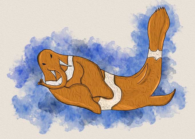 clownfish