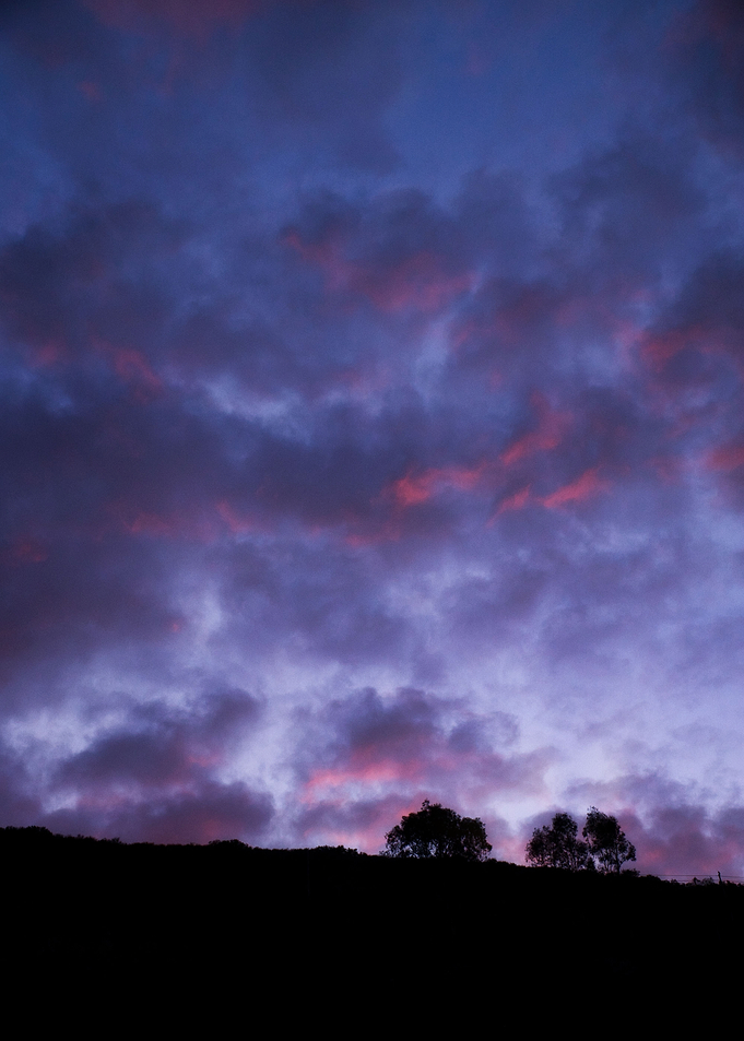 Two Tree Sunset