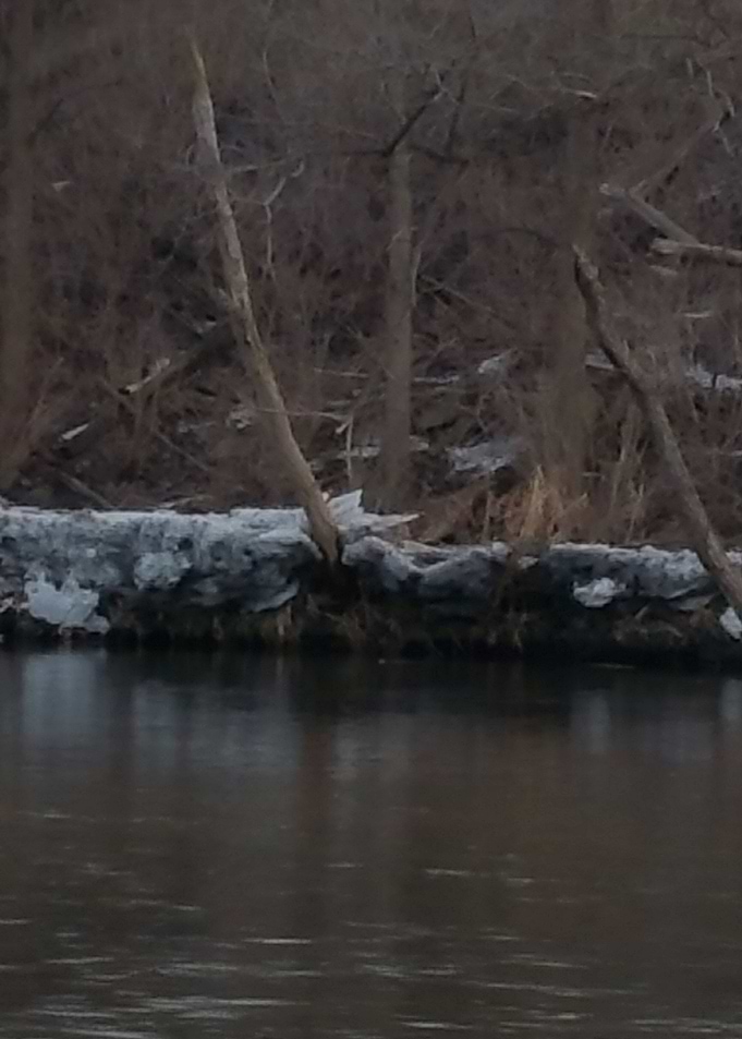Walk in Bridge Park 7