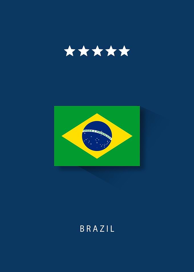 The Brazil Team
