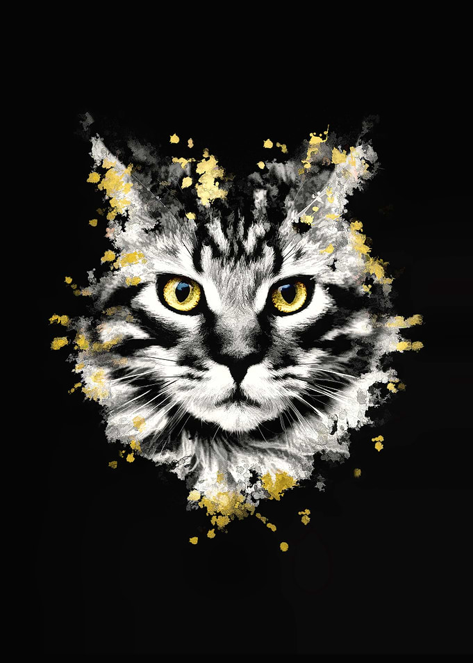 Cat with yellow eyes