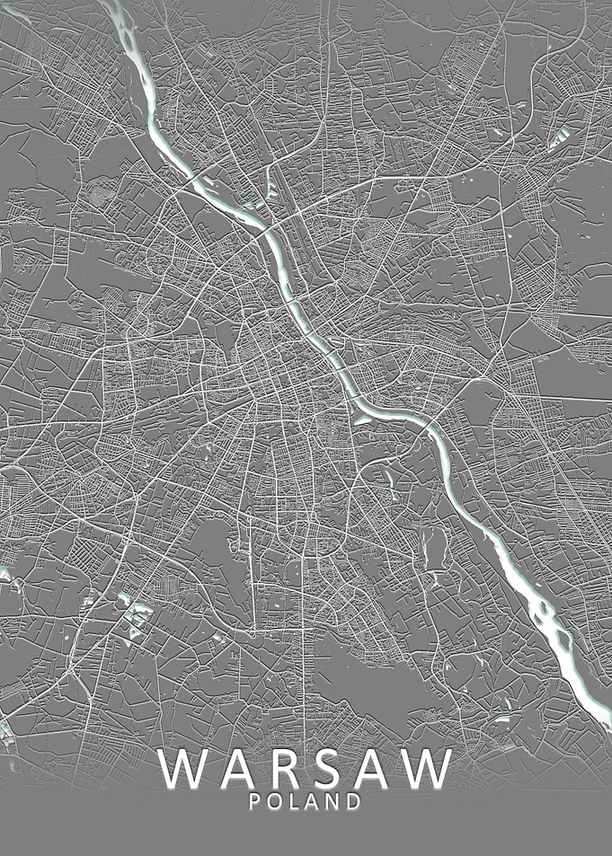 Warsaw Grey City Map