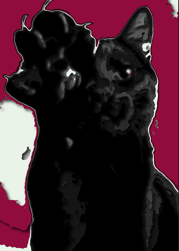 cat