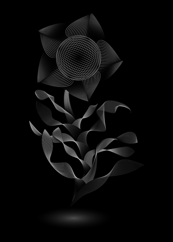 Midnight Flowers