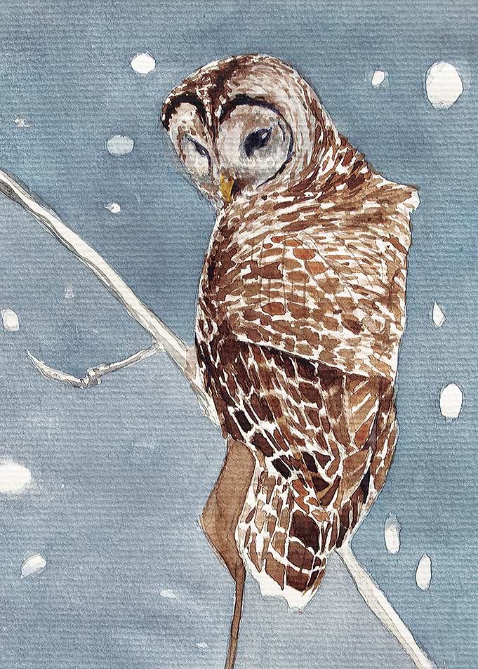Watercolor owl