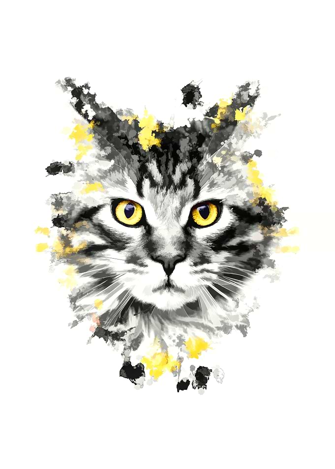 Cat with yellow eyes