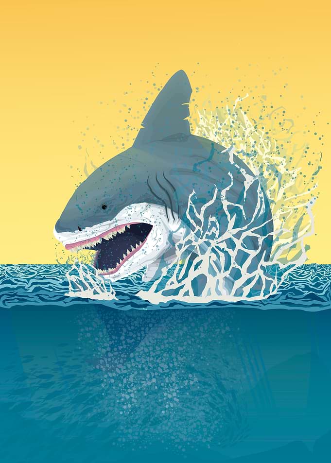 Shark Attack