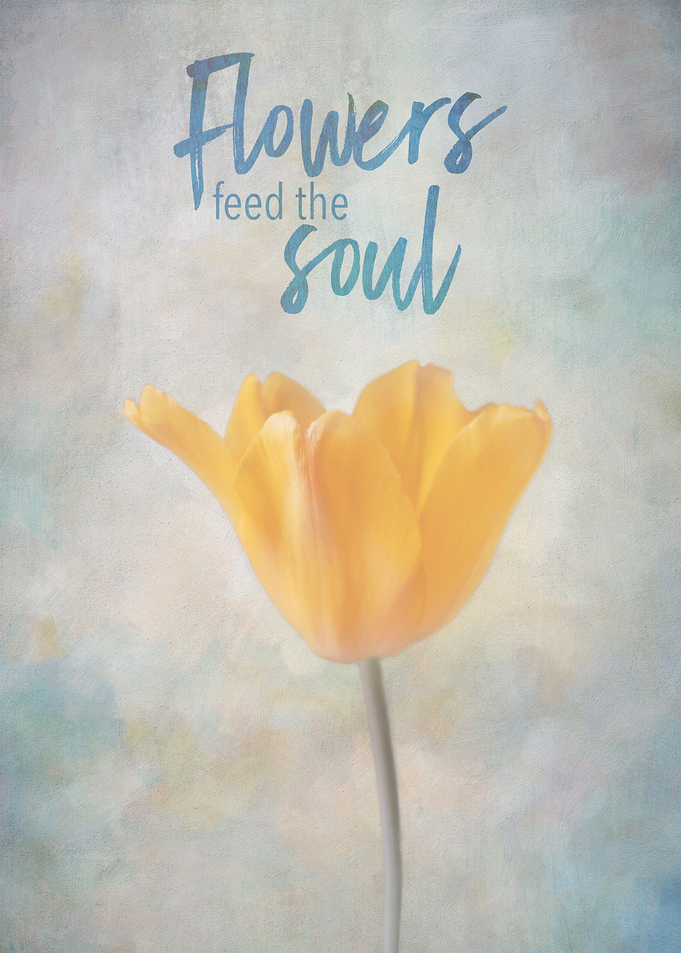 Flowers Feed The Soul