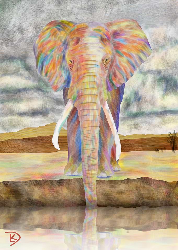 Elephant Reflection