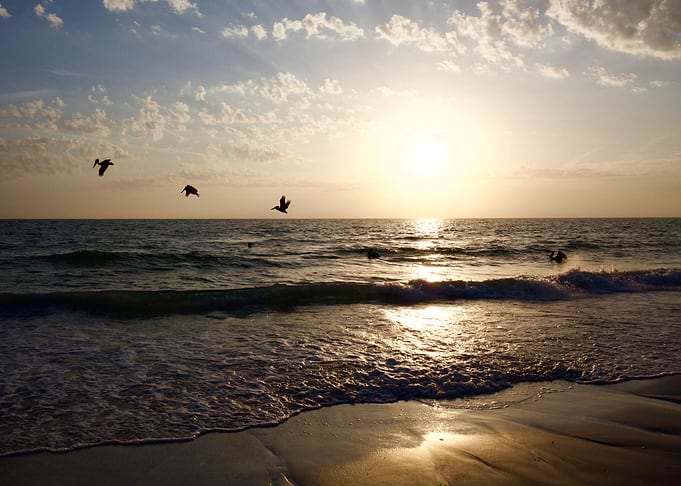 Florida sunset