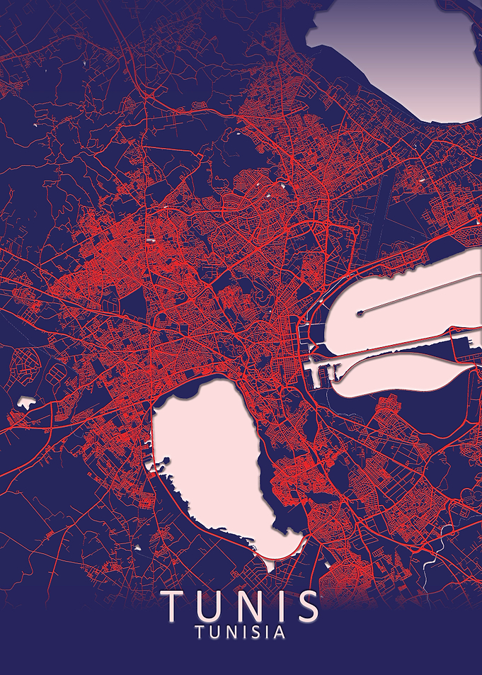 Tunis Dark Blue City Map