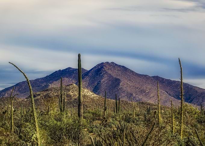 Moody Desert Landscape