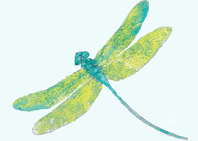 Summer Day Dragonfly
