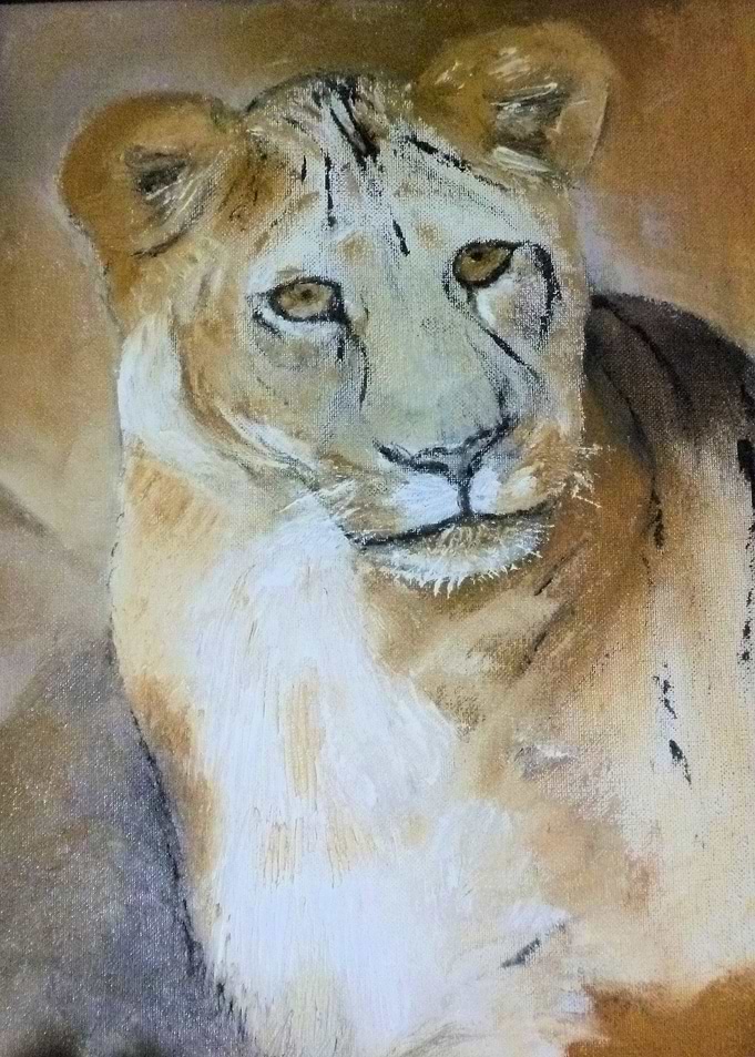 Lion 7