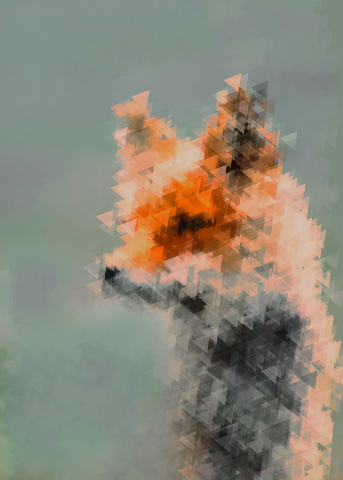 digital fox