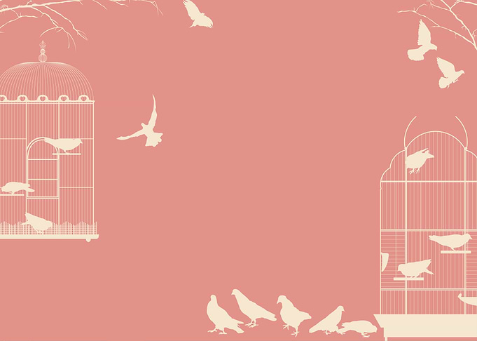 Pigeons and bird cages