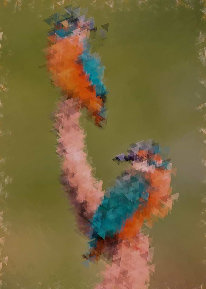 digital birds