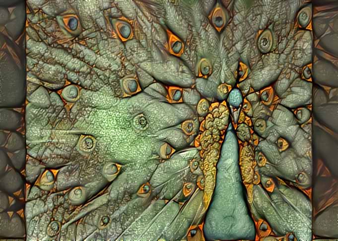 Peacock