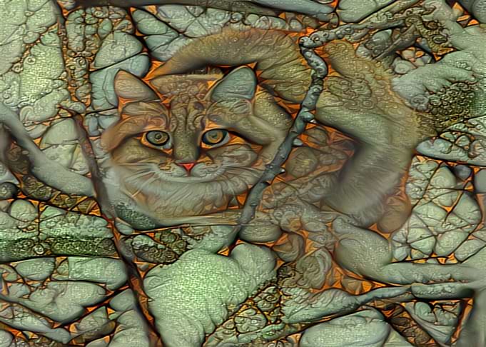Cat Freeda