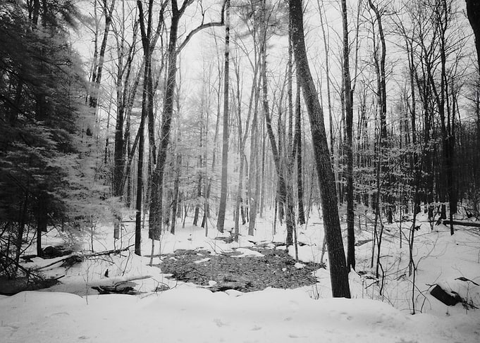 Monadnock Park