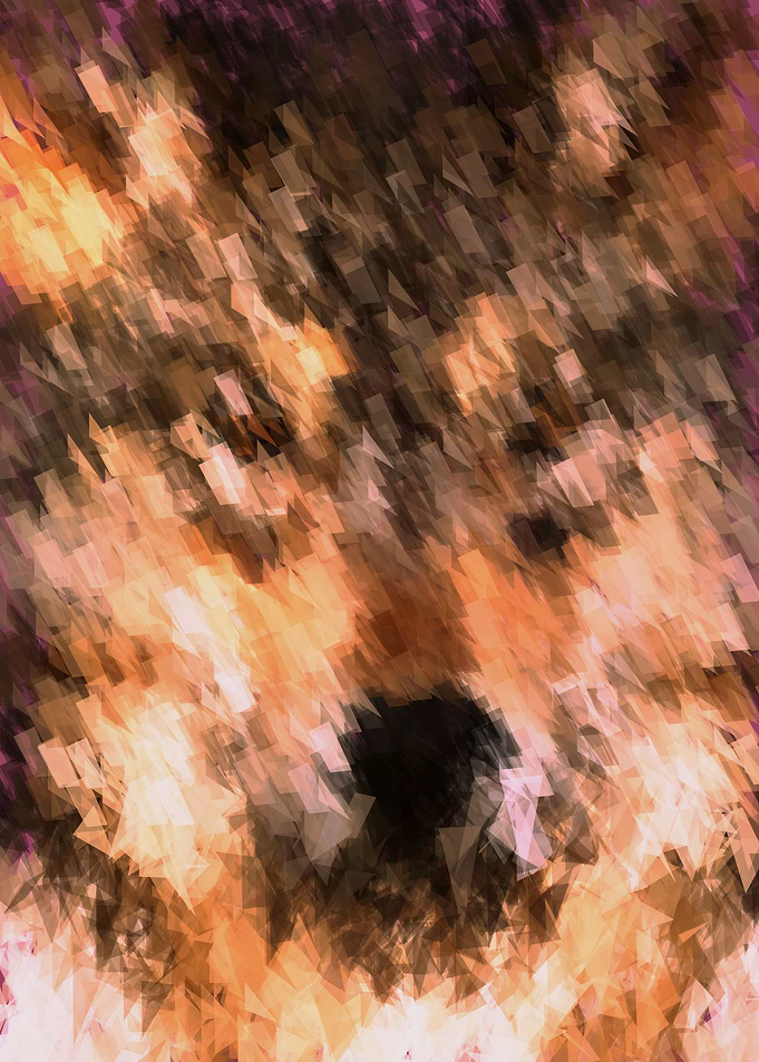 digital wolf
