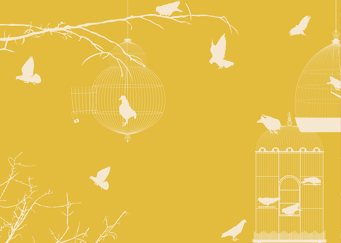 Pigeons and bird cages